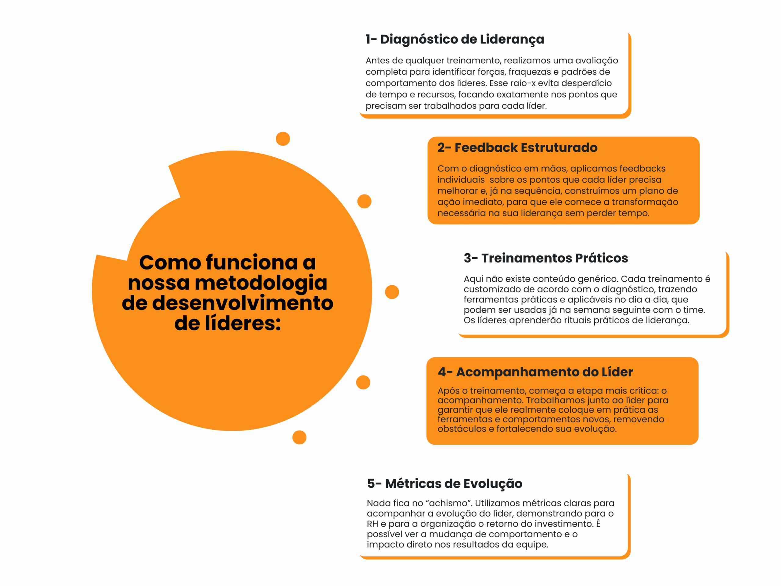 Metodologia